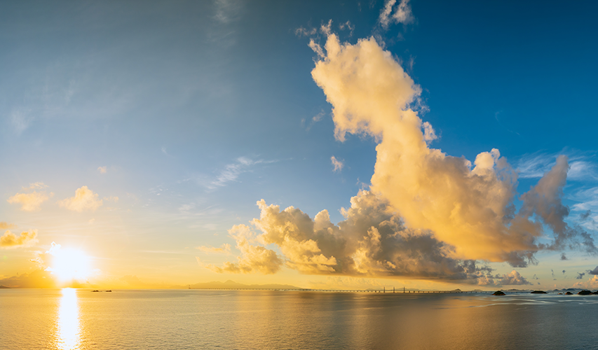 Lessons from the sea: What marine brands teach us about clarity, trust & tradition